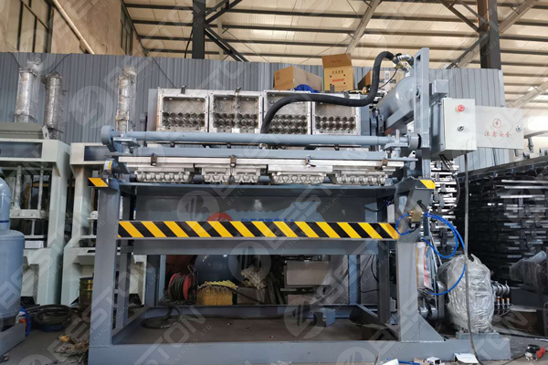 Egg Carton Machine For Sale