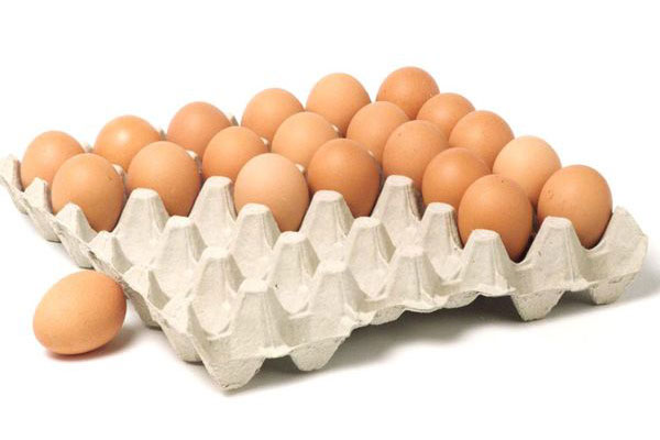 Make Egg Trays from Waste Paper